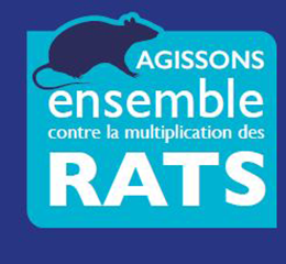 Agissons-contre-les-rats_WEB