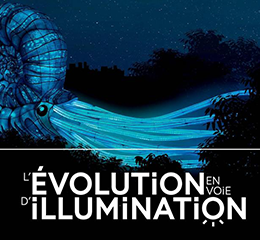 Evolution-en-illumination-web