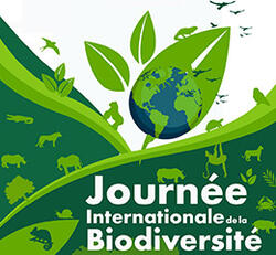 Journee-Internationale-de-la-biodiversite_web