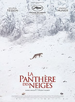 panthere-neige