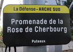 rose-cherbourg-def