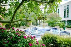 jardin du sud