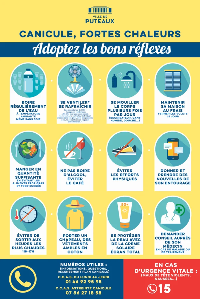 infographie canicule
