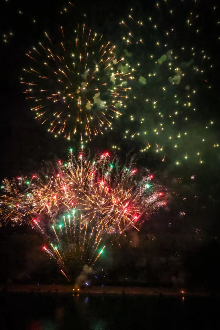2025-07-14-PiqueNiqueRepublicain2_EL-572