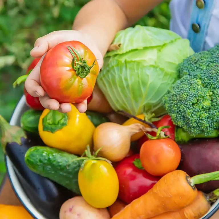 jardinpotager_WEB