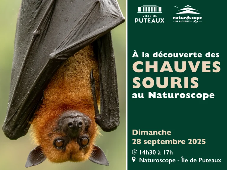 DT 8492_PROGRAMME ATELIERS NATUROSCOPE 2025-2026_800x600_11zon