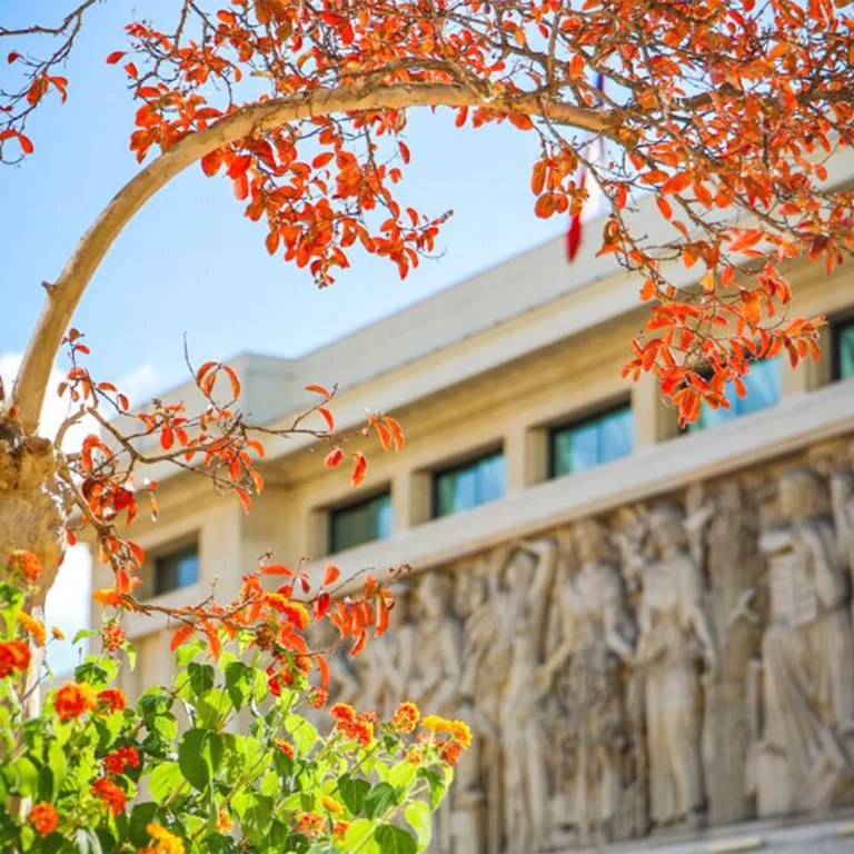 cequichangeau1ernovembre