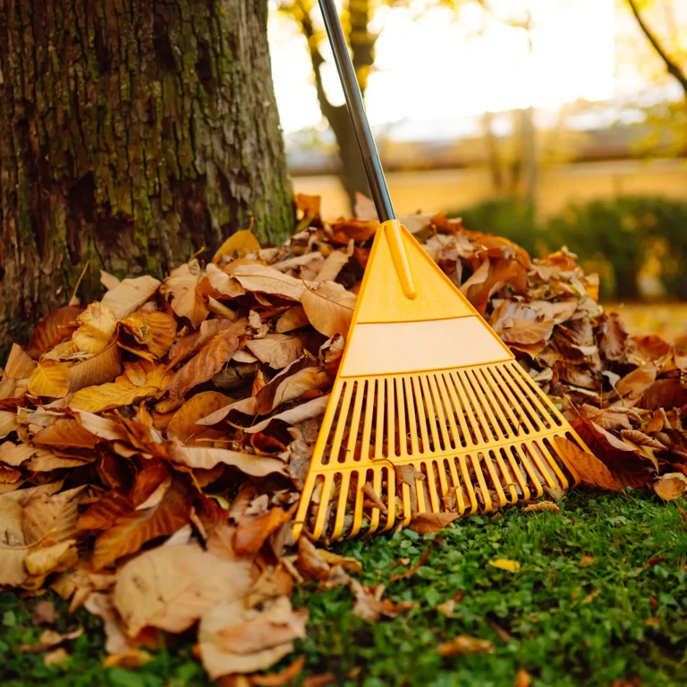shutterstock_2502657929_V2