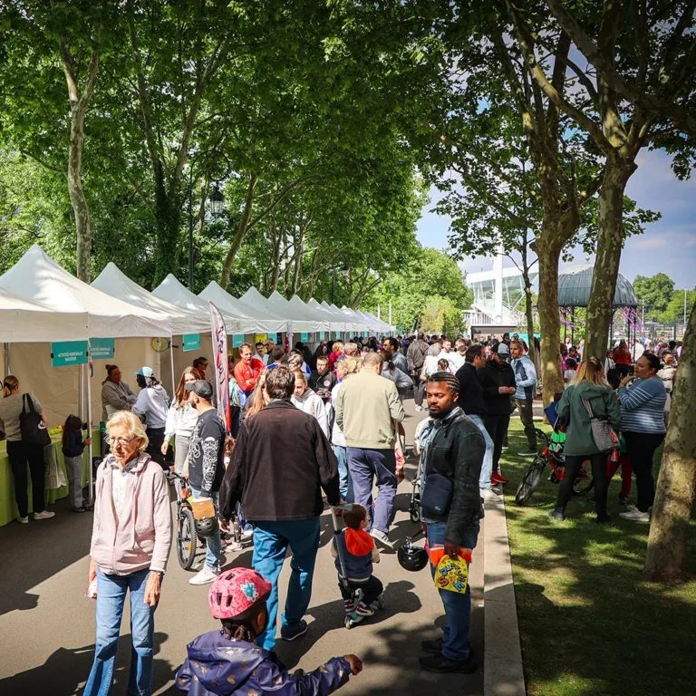 17-05-2025-FS&H_EL-234_V2