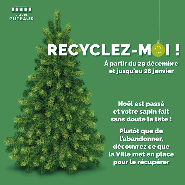 DT 8676 COLLECTE RECYCLAGE SAPIN 1080x1080px