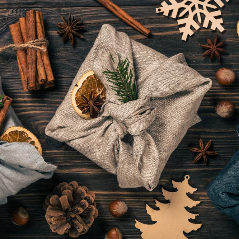 VISUEL_NOEL_ECOLO_WEB