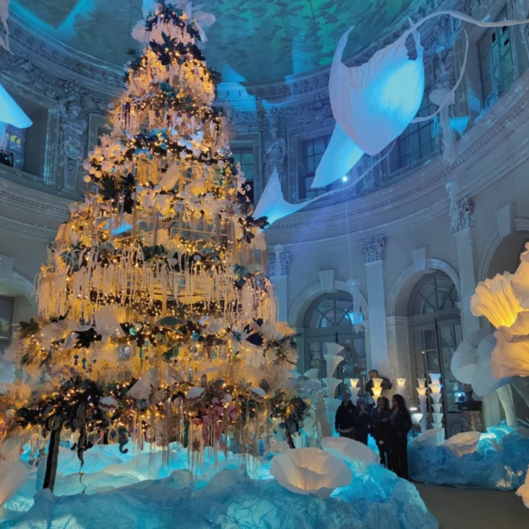 chateau vaux le vicomte noel