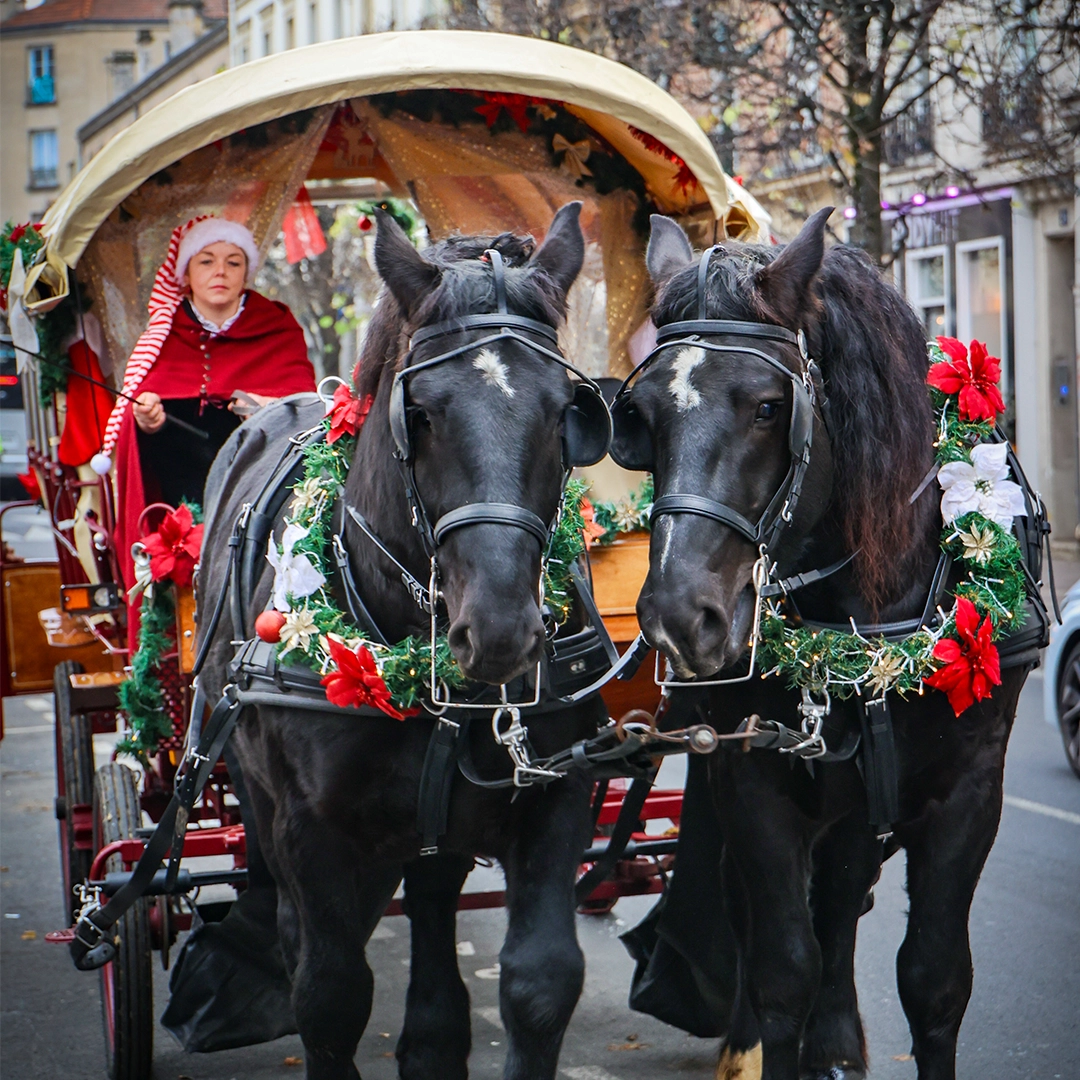 marche-de-noel-2025 (11)