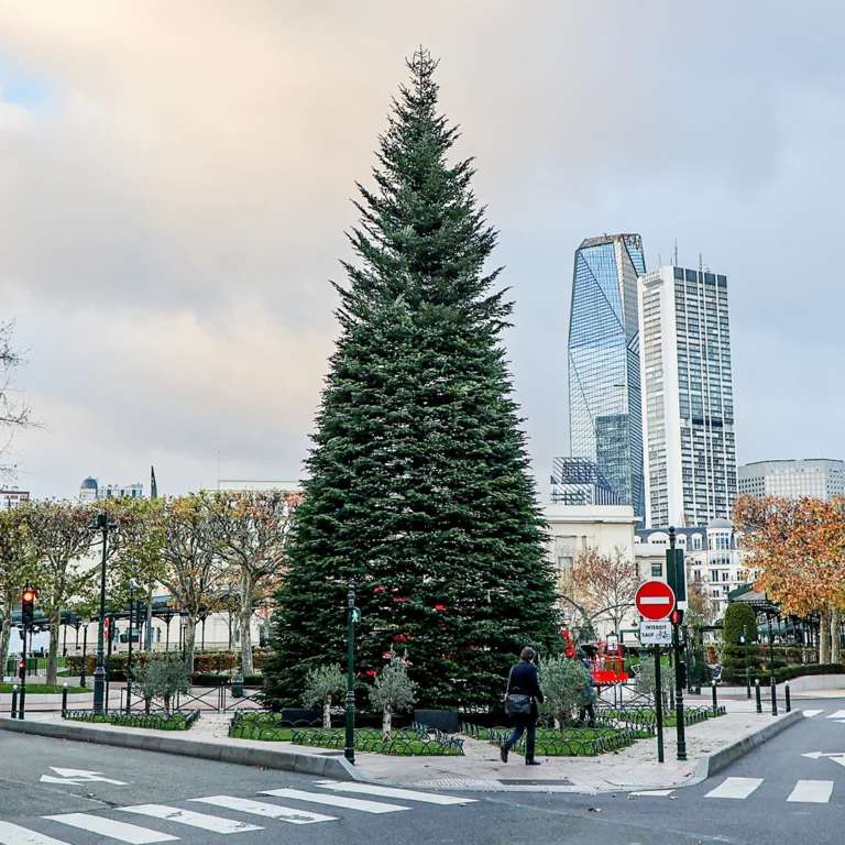 sapin noël