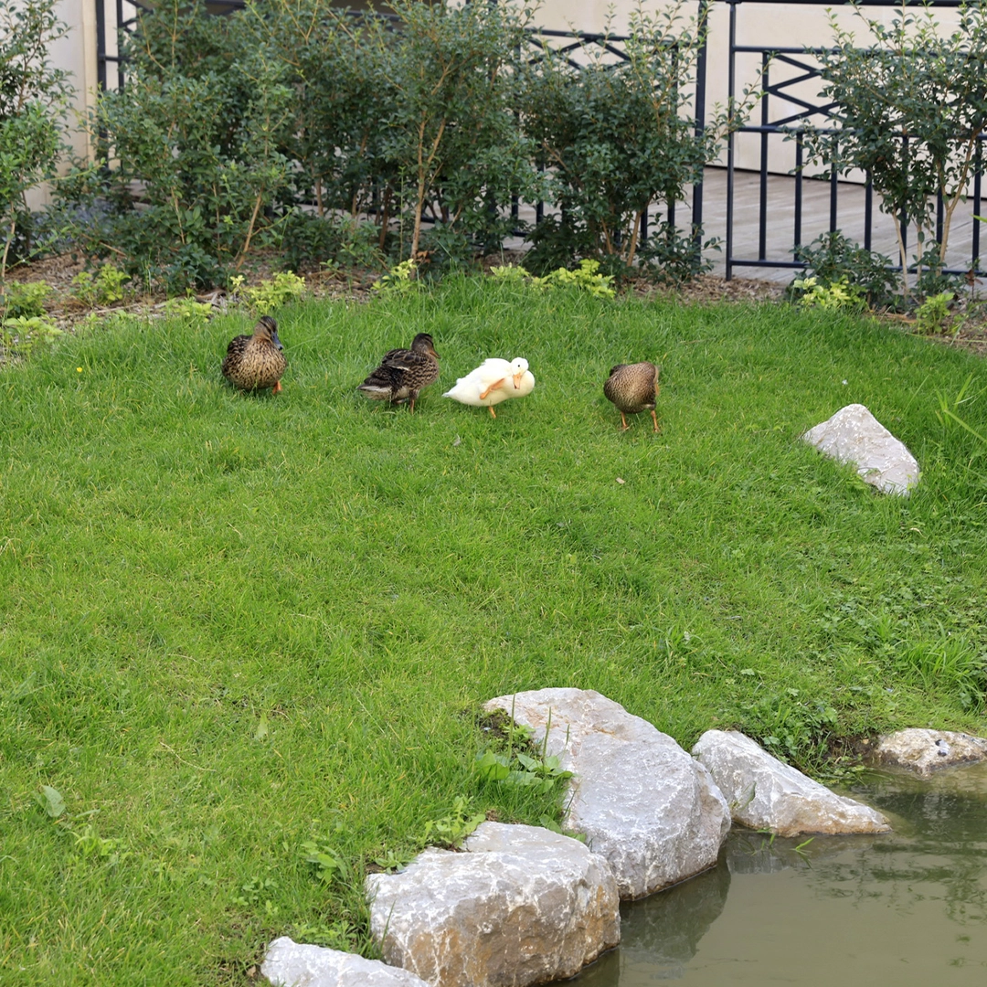 ÉcoQuartier des Bergères 5 7