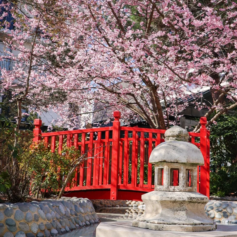 jardinjaponais_vignette