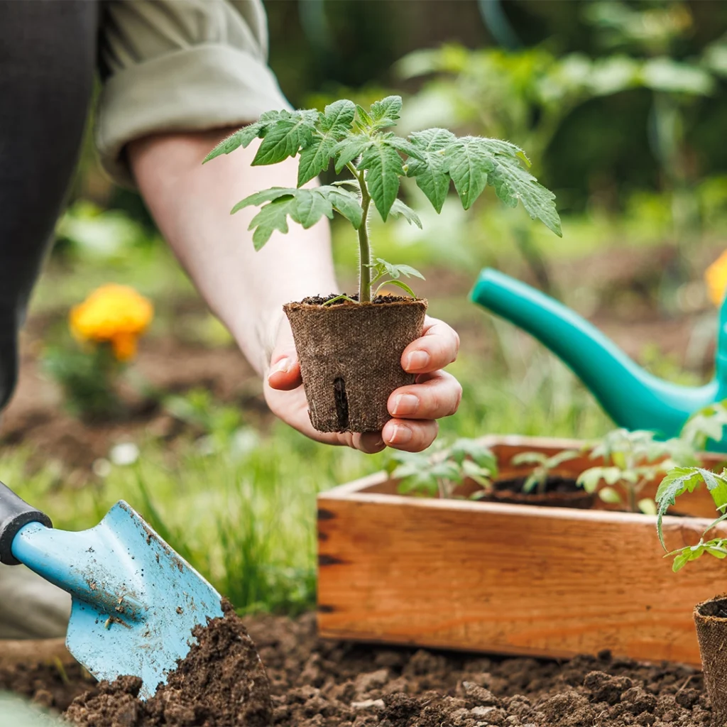 atelier naturo potager