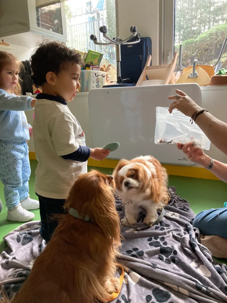 creche du petit manege 2026