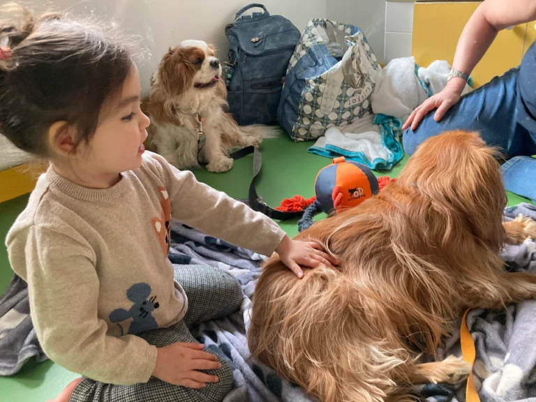 creche du petit manege 2026