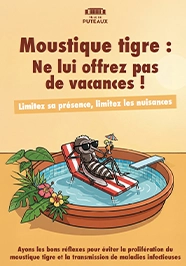 moustiques
