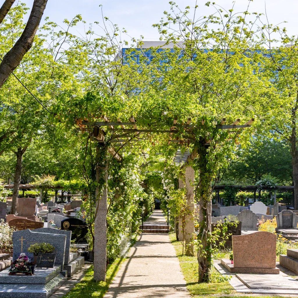 printemps cimetieres
