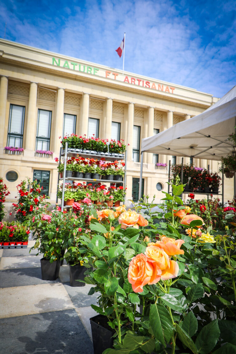 2026-05-31-FÊTE DE LA NATURE et de l'artisanat_EL-100