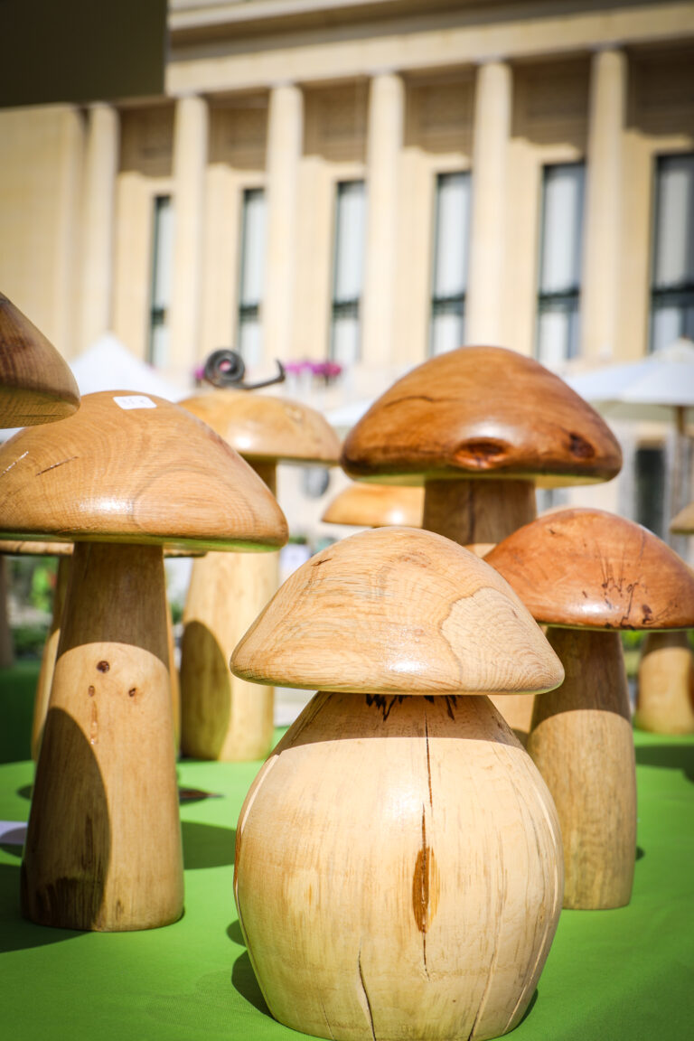 2026-05-31-FÊTE DE LA NATURE et de l'artisanat_EL-13