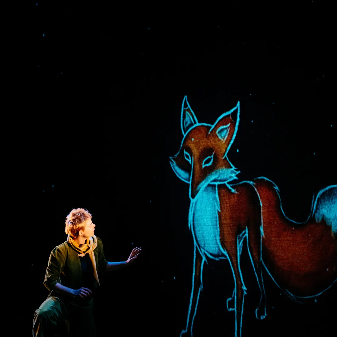 Le Petit Prince - Spectacle