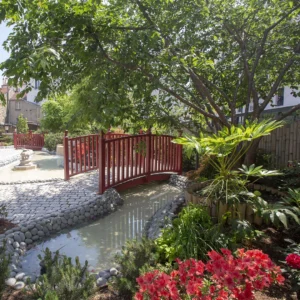 paragraphe jardin