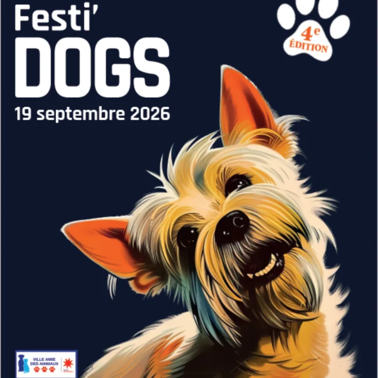 festi'dog