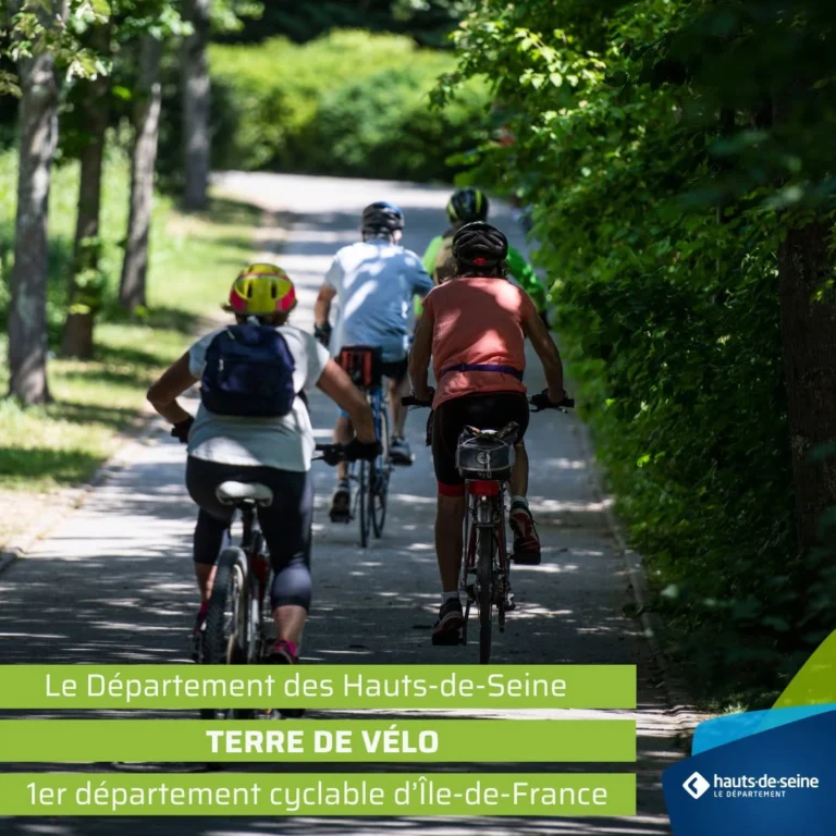 hds velo