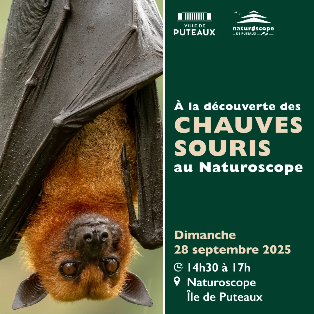 DT 8492_PROGRAMME ATELIERS NATUROSCOPE 2025-2026_1080x1080px