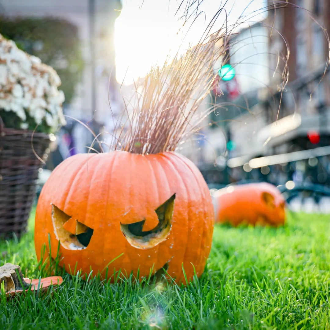 Halloween (17)
