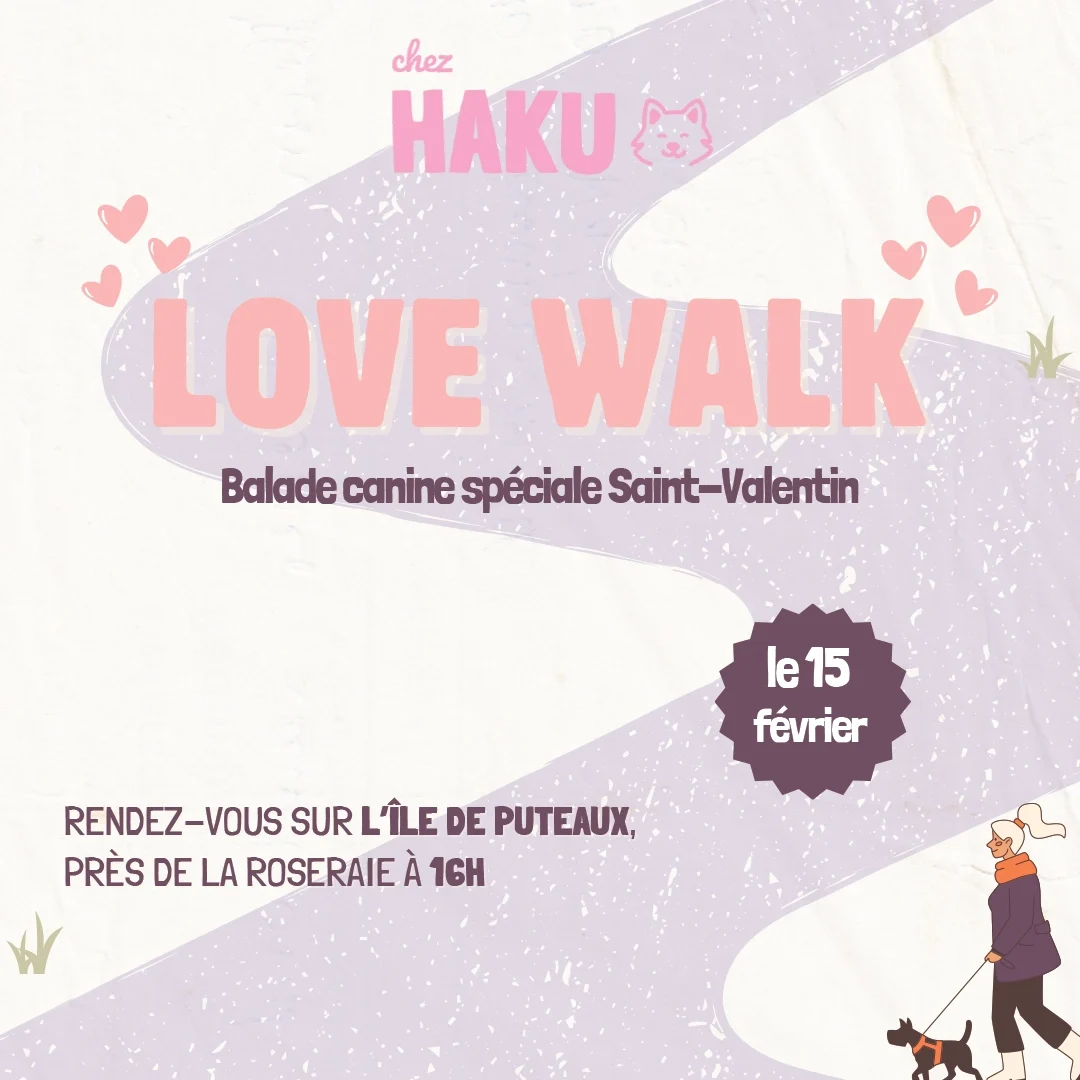 chez haku balade canine