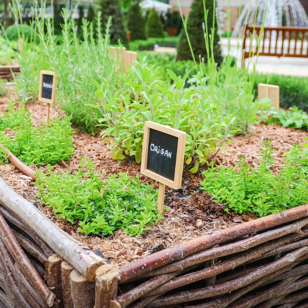 inauguration presbytere